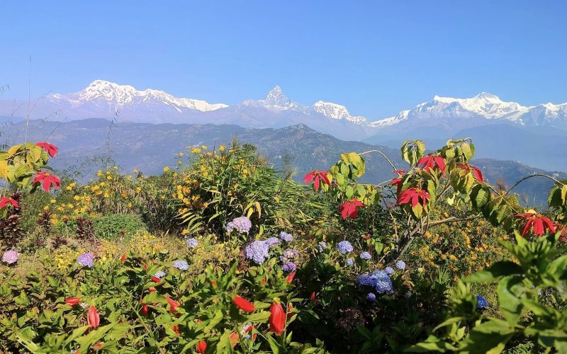 तस्बिर / सुवास जि.सी.