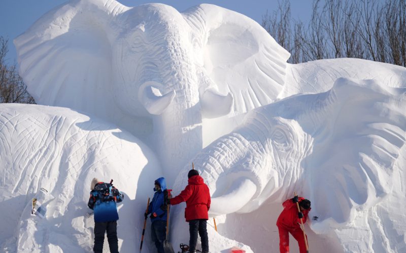 हिउँमा बनाइएका महल देखी हात्तीसम्म (फोटोफिचर)