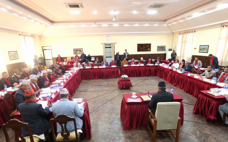 कर्णालीले औषधि उत्पादनमा विशेष पहल लिनुपर्छ : प्रधानमन्त्री