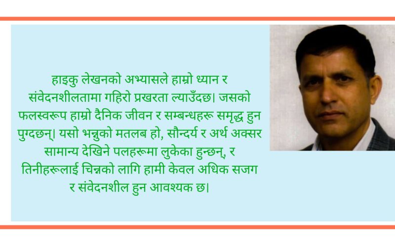 हाइकु संसार: एक अर्थपूर्ण अन्वेषण
