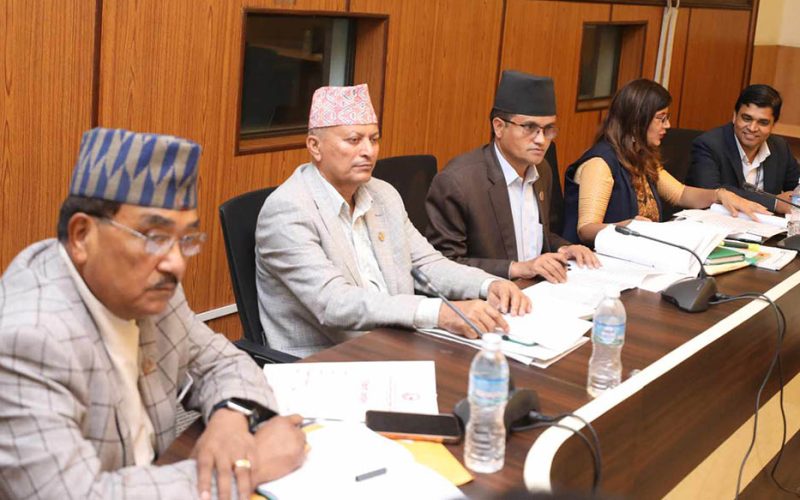 सहकारीलाई व्यवस्थित गर्न नियमनकारी निकाय बनाउन गभर्नर अधिकारीको सुझाव