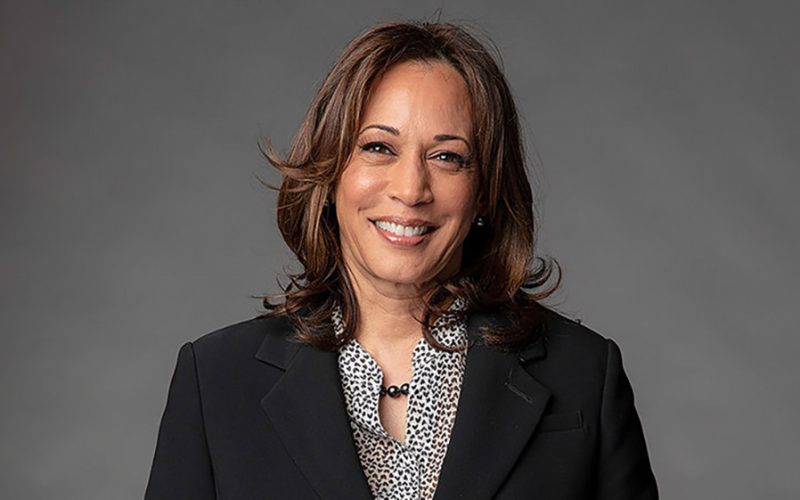 ह्यारिसले कसरी ४८ घण्टामै कब्जामा लिइन् डेमोक्रेटिक पार्टी ?