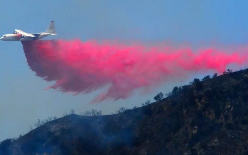 वातावरणवादी चिन्तित हुने अमेरिकाले डढेलोमा फालिरा’छ ‘गुलाबी रङ्ग’